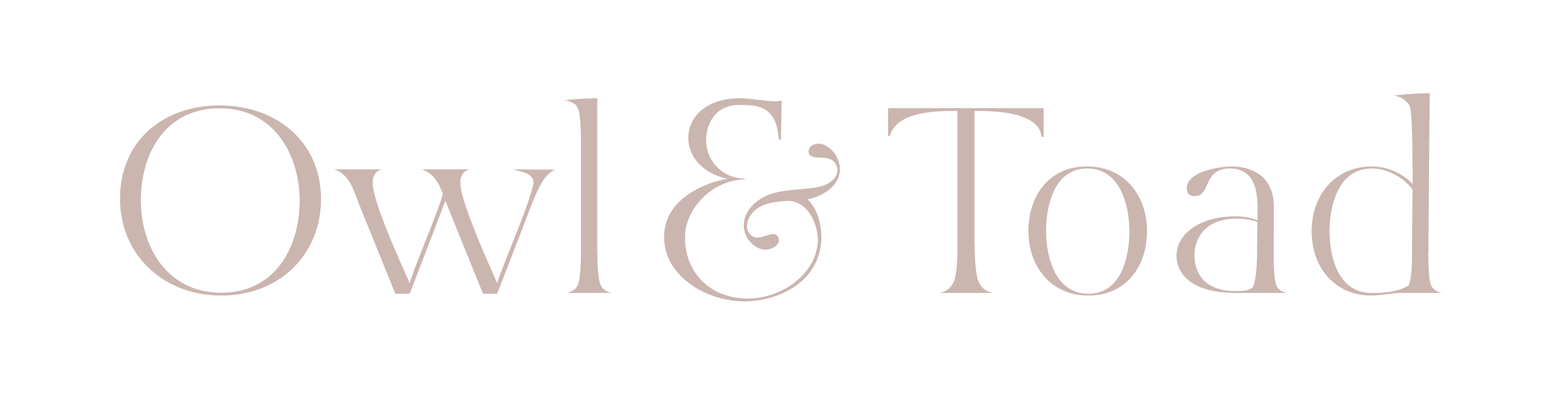 Owl & Toad logo