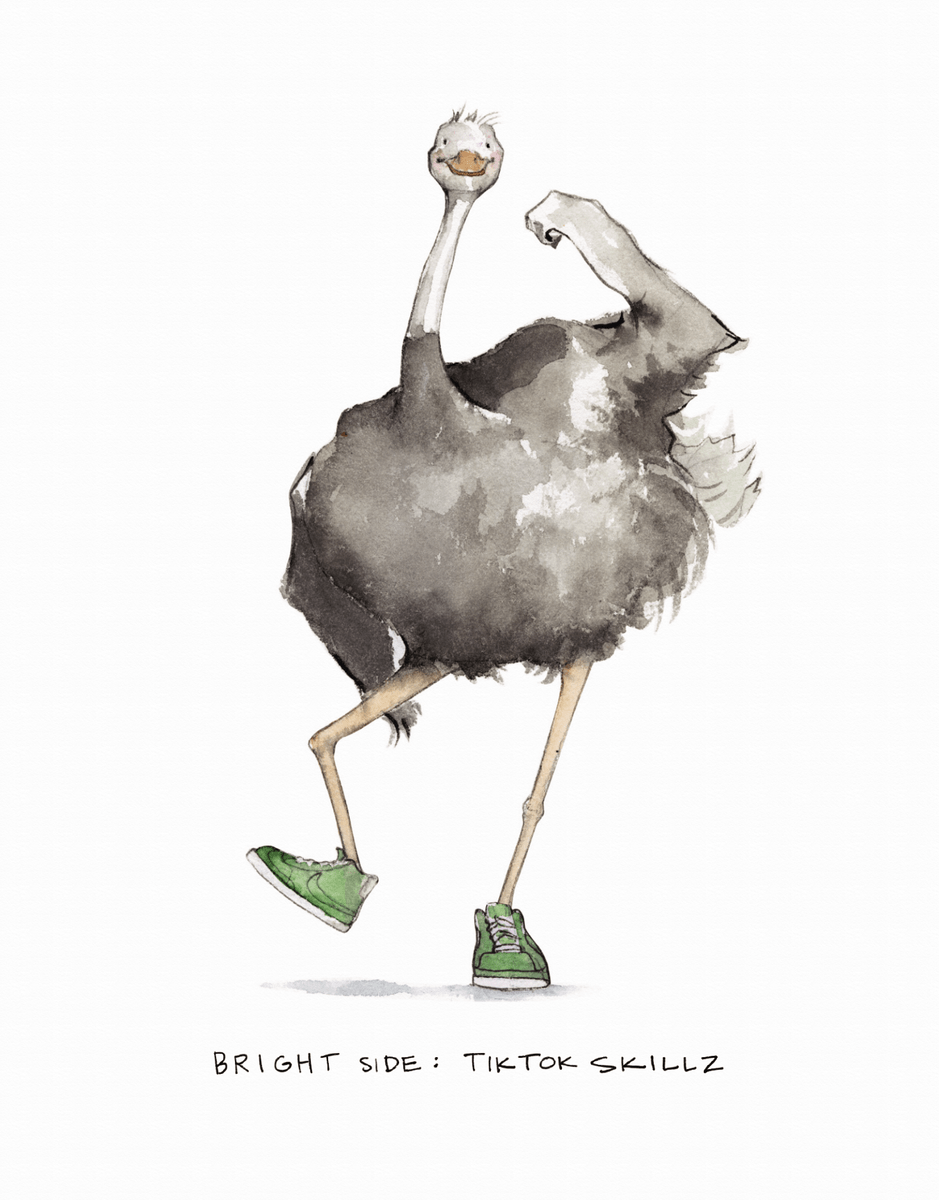 Optimistic Ostrich 