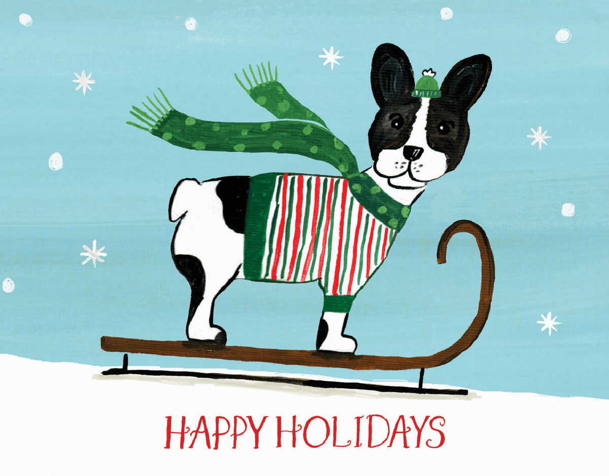 funny dog in a sweater sledding holiday card