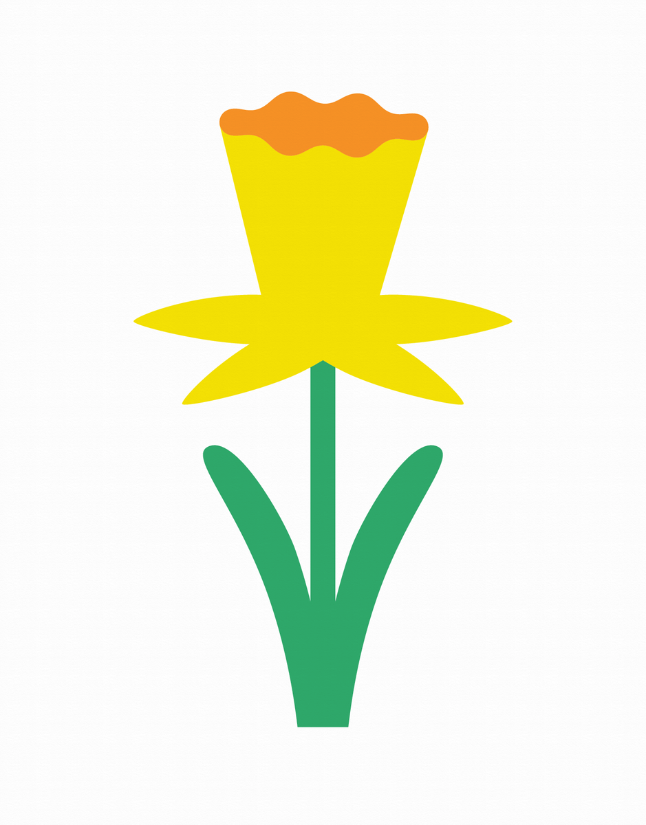 Daffodil Floral Blank Card