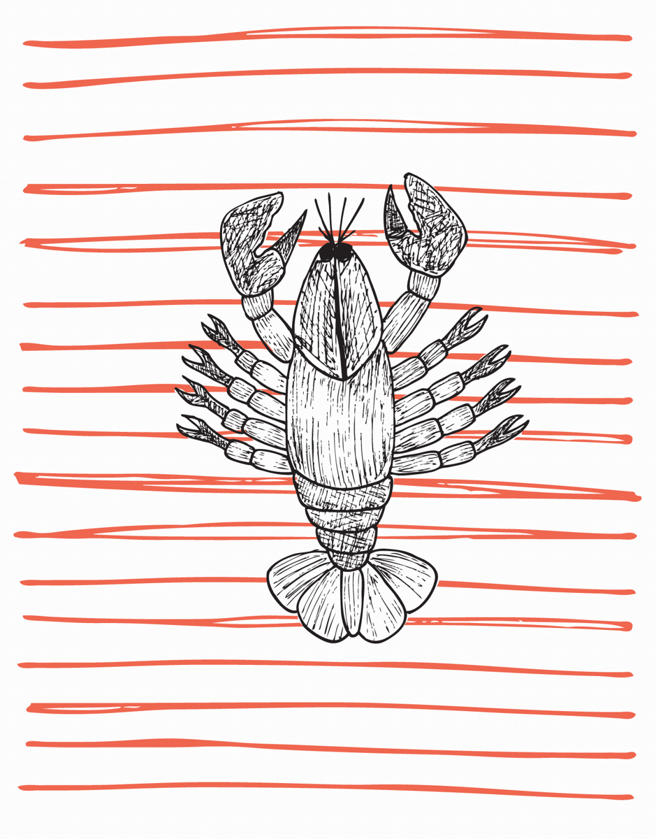 Hand Drawn Lobster Hello Card