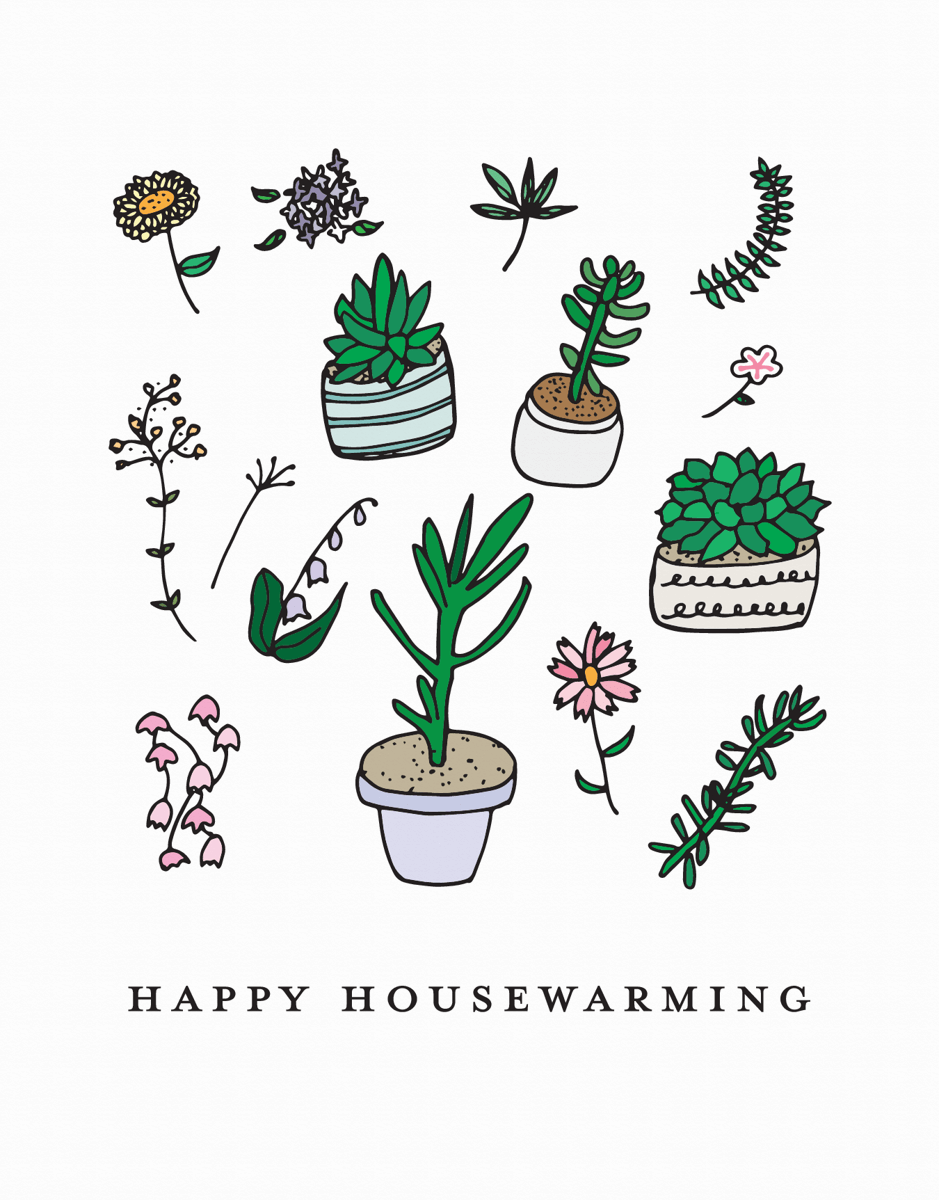 Housewarming Plants 