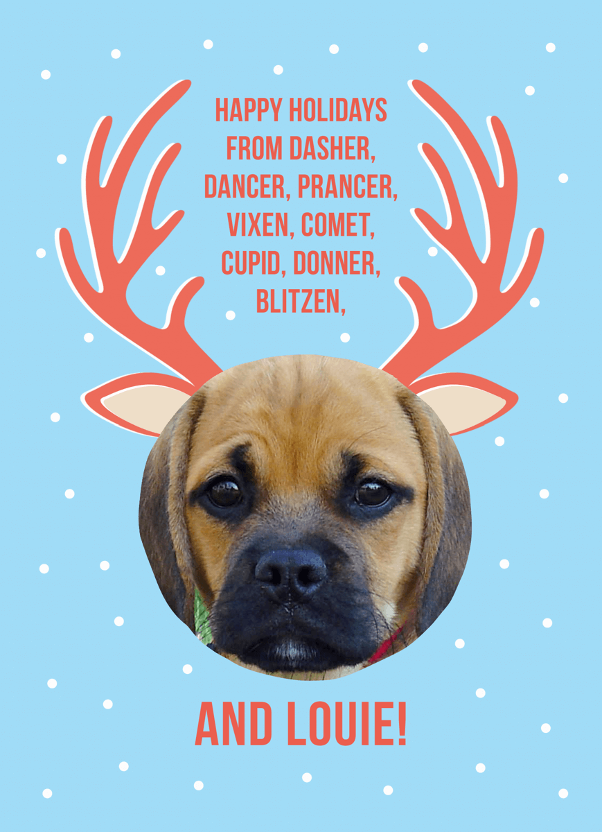 Custom Reindeer Pet Holiday Card