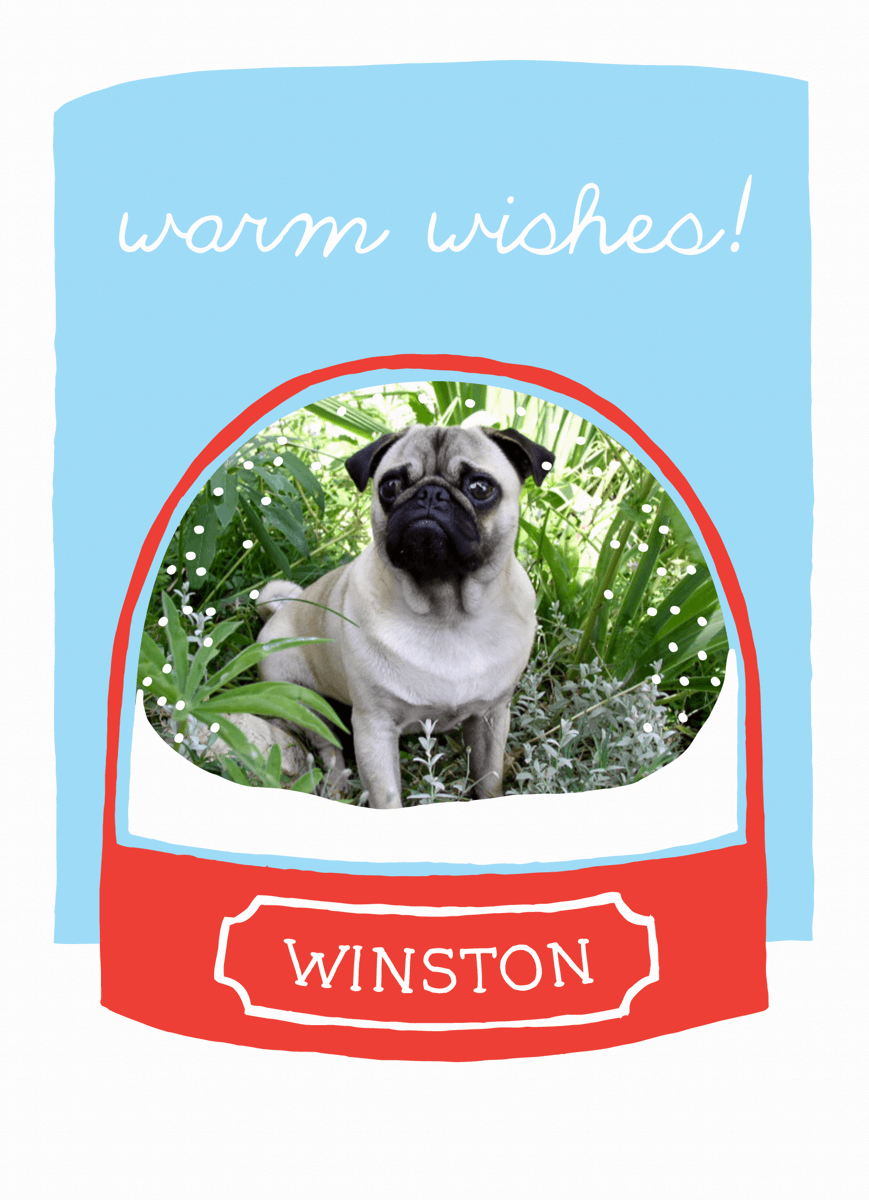 Quirky Winter Pet Holiday Card