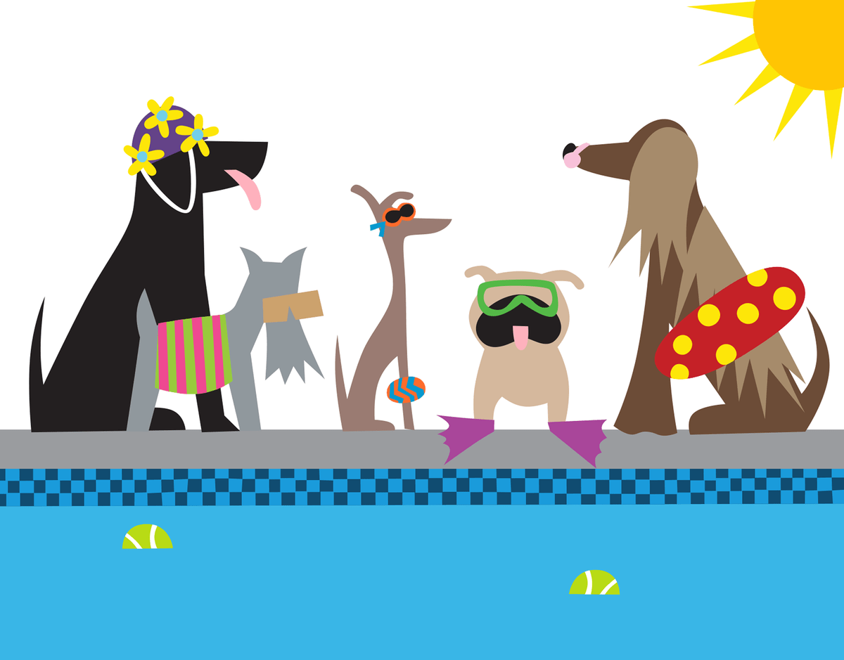 Doggie Swim Party