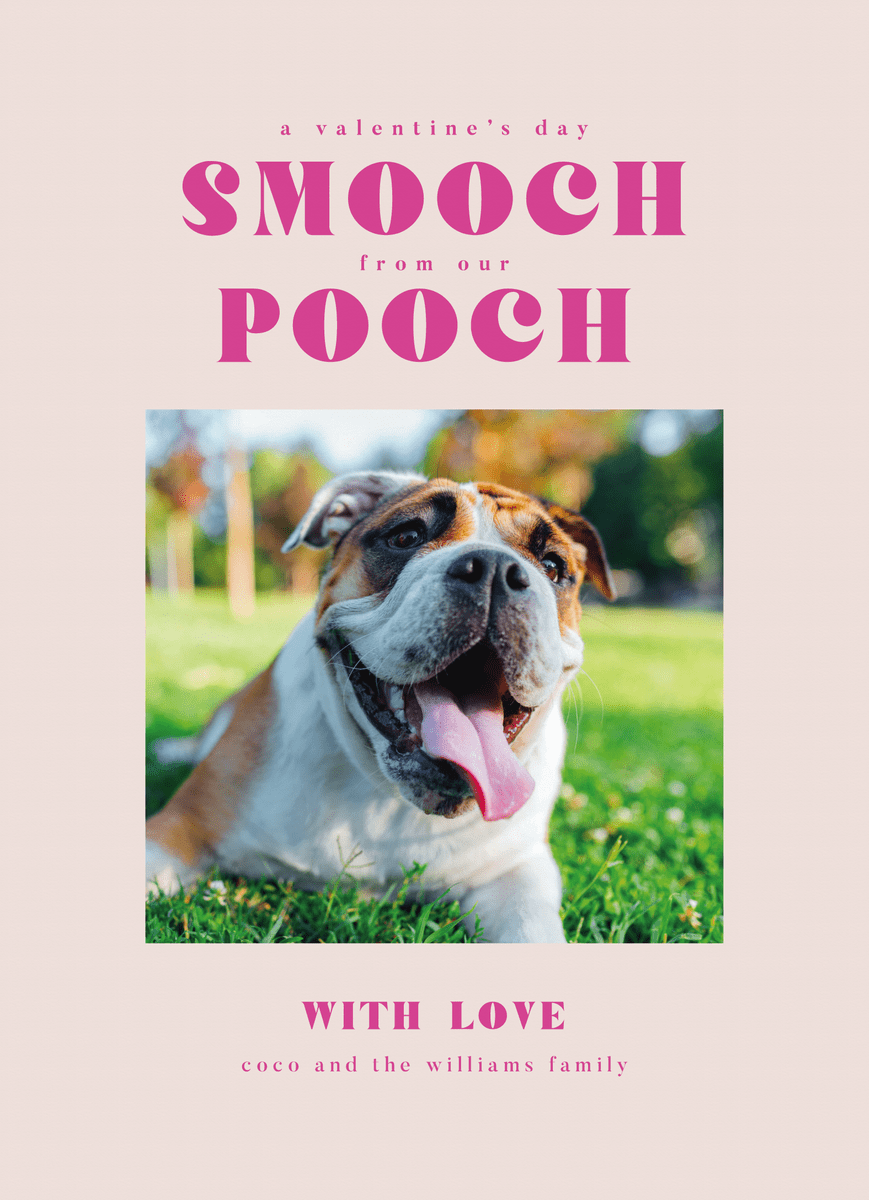 Pooch Smooch