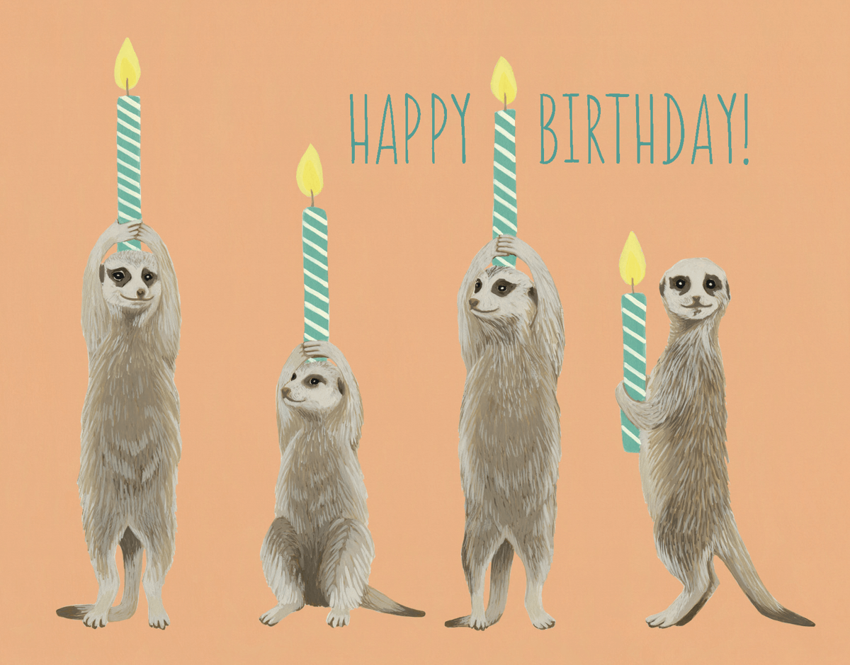 Meerkat Birthday