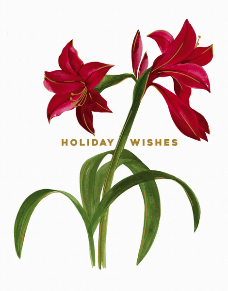 Amaryllis Holiday Wishes