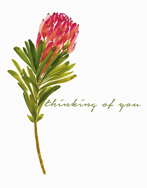 Protea Thinking Of You