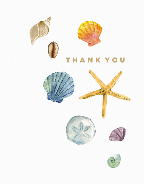 Sea Shells Thank You