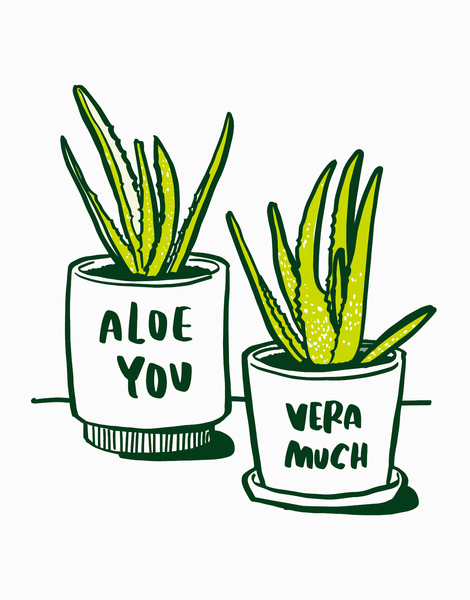 Aloe You
