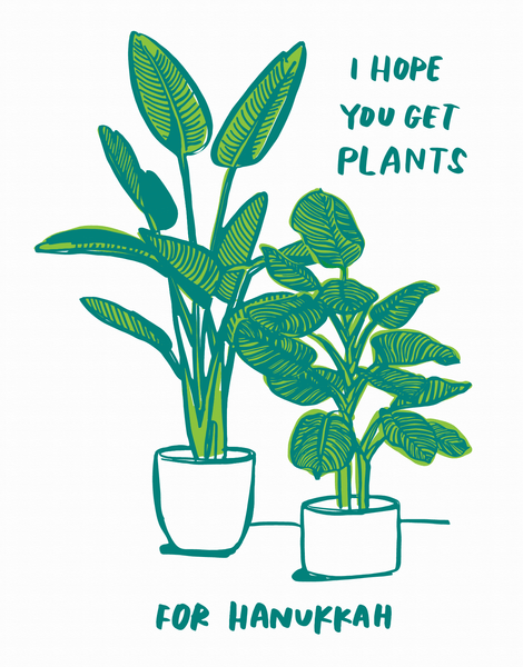Hanukkah Plants