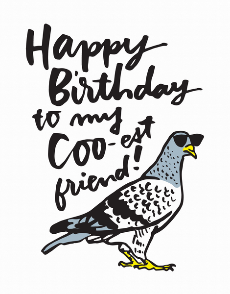Pigeon Birthday