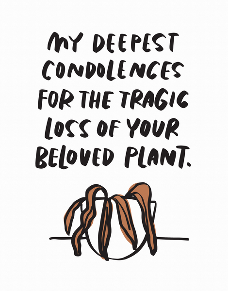 Plant Condolence 