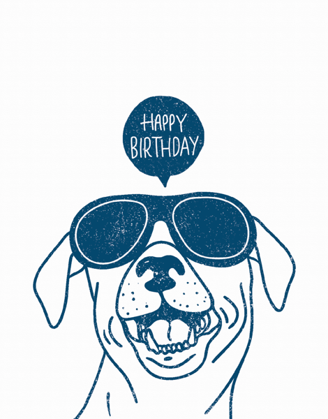 Playful Dog Birthday Card