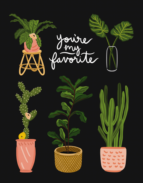 Favorite Plants