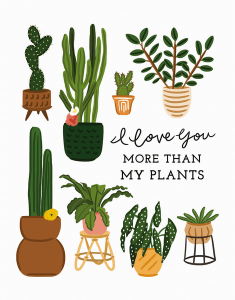 More Than Plants
