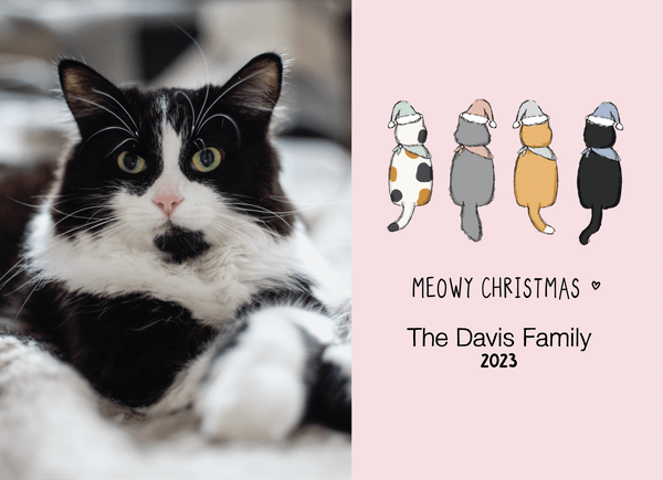 Meowy Cat Christmas
