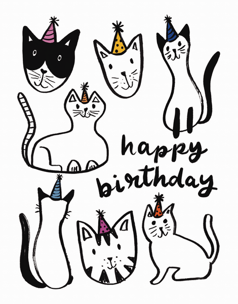 Cats In Party Hats