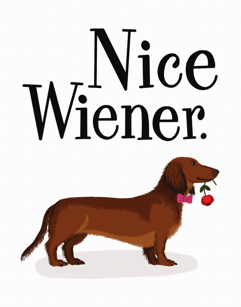 Nice Wiener 
