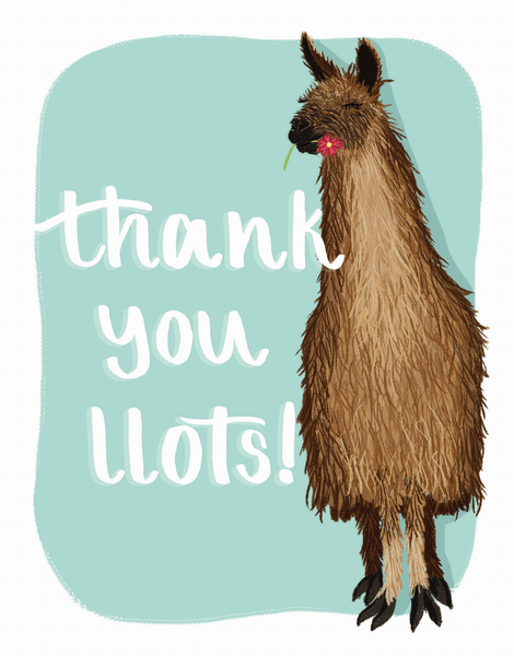 Thank You Llama