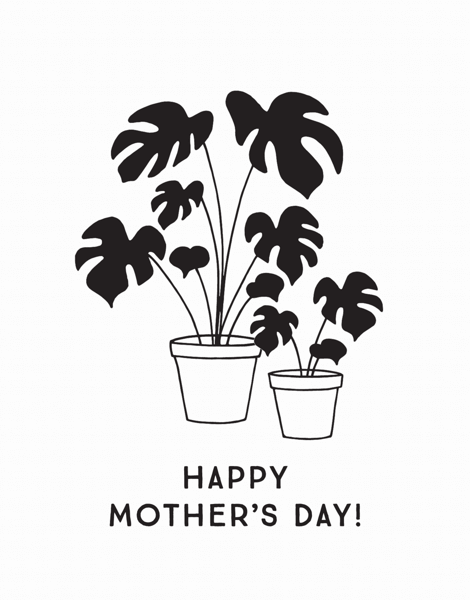 Potted Plants Mother's Day