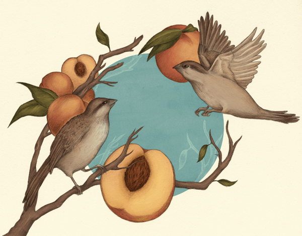 Earthy Birds and Peaches Art Card