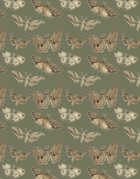 Earthy Moth Pattern Stationery