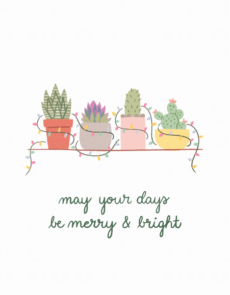 Merry And Bright Plants