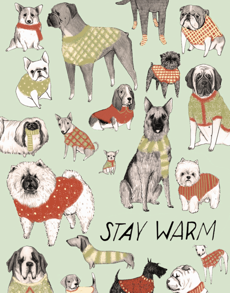 funny dog sweaters christmas greeting card
