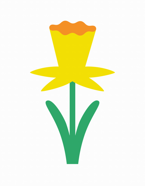 Daffodil Floral Blank Card