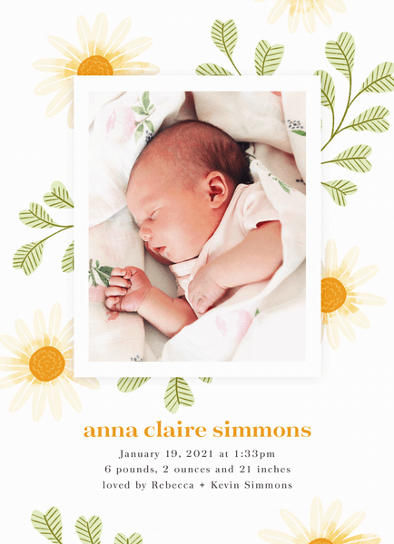LUXURY LORD FOX BIRTH ANNOUNCEMENT NEW BABY CARDS & ENVELOPES PHOTO CUSTOM 