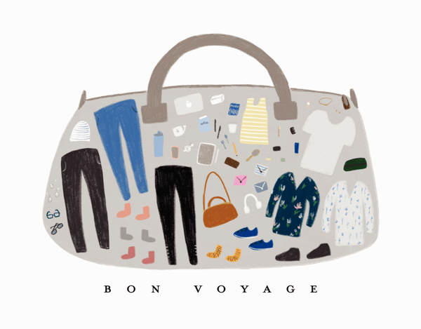 Bon Voyage Suitcase