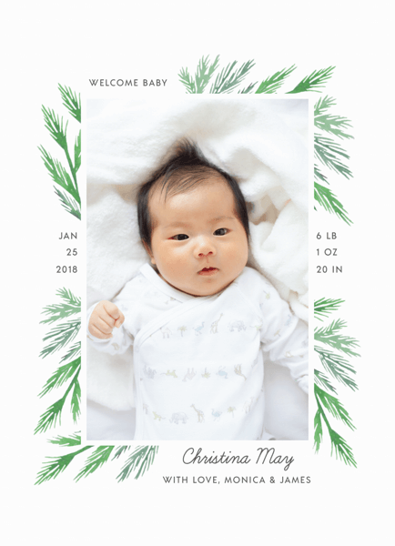 Pine Branch Birth Announcement