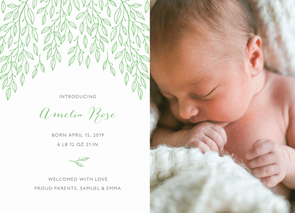 Birch Tree Leaves Announcement