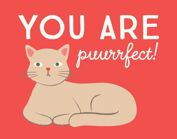 Punny Cat Valentine's Day Card