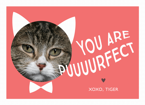 Valentines for Pets
