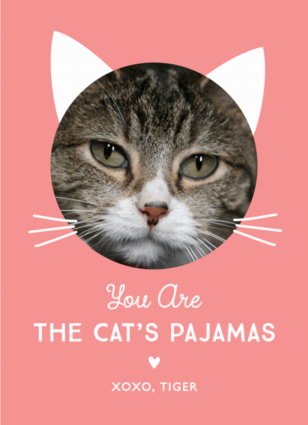 Cat's Pajamas Love Card