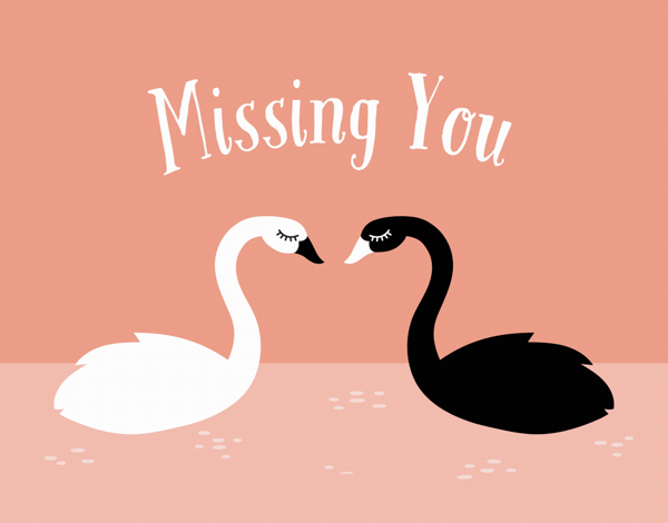 Black and White Swans Miss You Card