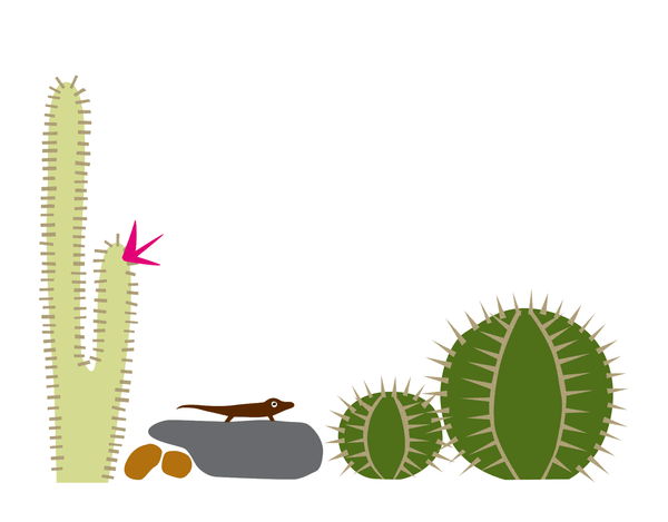Cactus Lizard Stationery