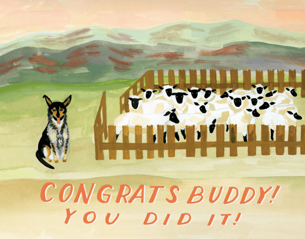 Sheep Dog Congrats