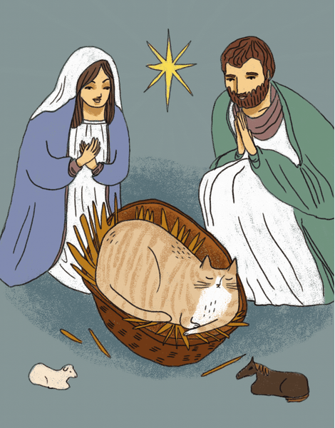 Nativity Cat