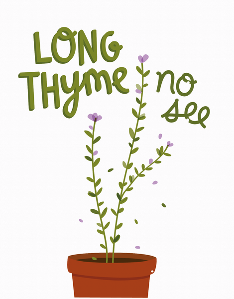 Long Thyme