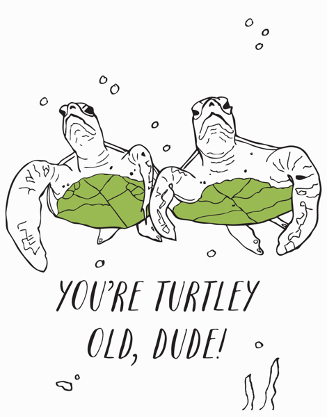 Turtley Old
