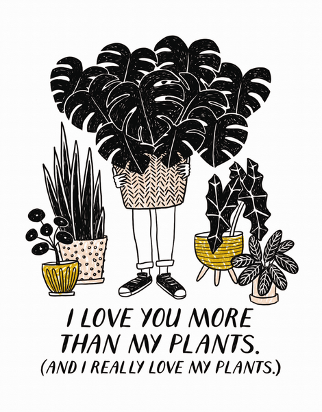 More Than My Plants