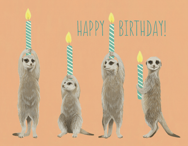 Meerkat Birthday