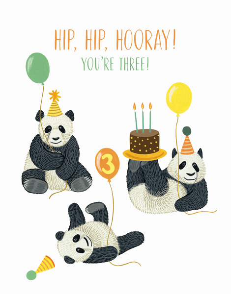 Panda Third Birthday